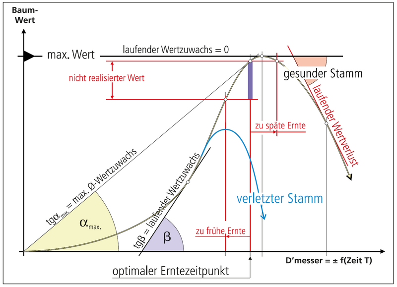 optimaler Erntezeitpunkt