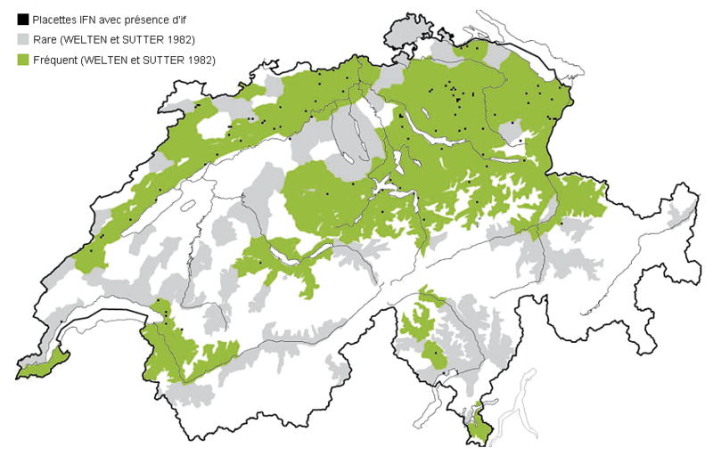 Présence de l’if en Suisse