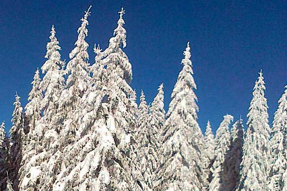 [Translate to English:] 