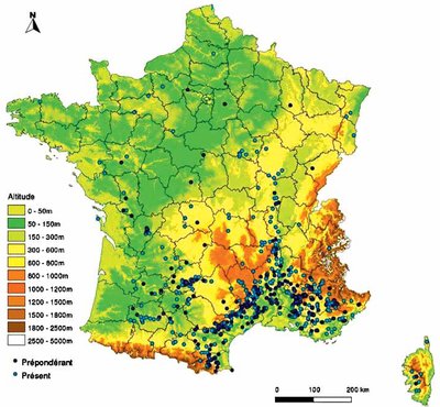 Karte Frankreichs mit Konzentrationen der Atlaszeder v.a. im Süden und Südosten