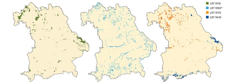Verbreitung von vier Wald-LRT in Bayern