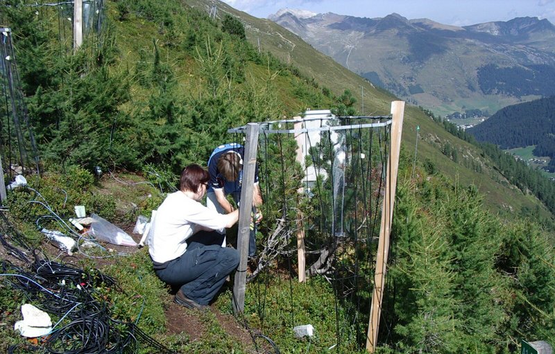 Erforschung von erhöhter CO2-Konzentration