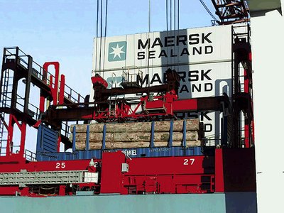 LogRac, ein für den Seetransport standardisierter Flat-Container für Stammholz