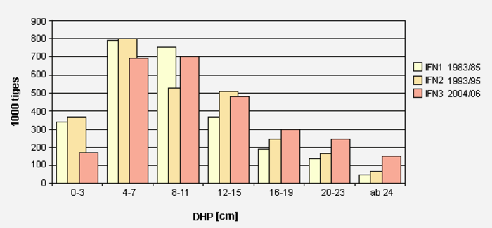 Répartition du nombre de tiges chez l’if