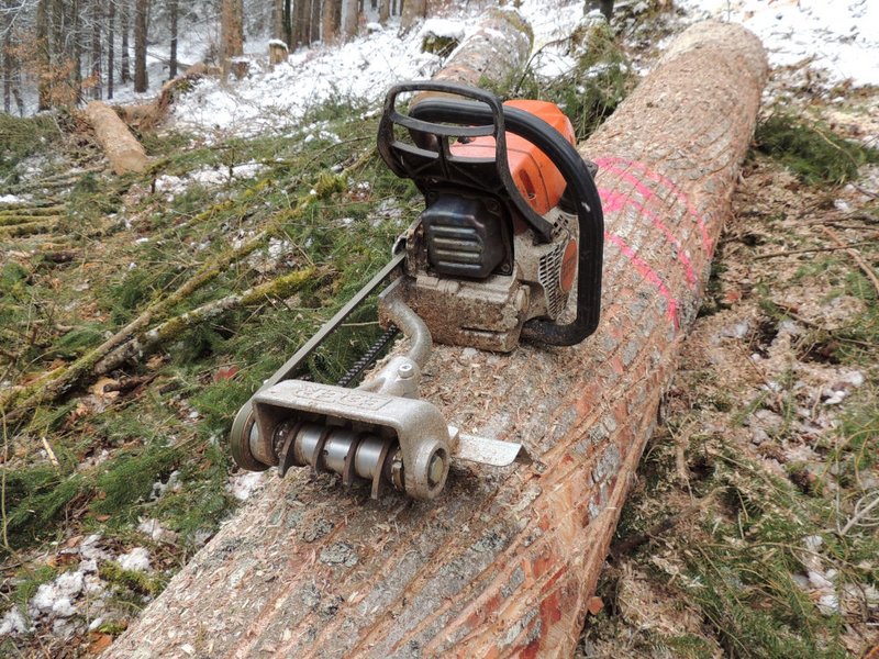 Ansicht einer Borkenkäferfräse, die an einem Fichtenstamm angelegt wird