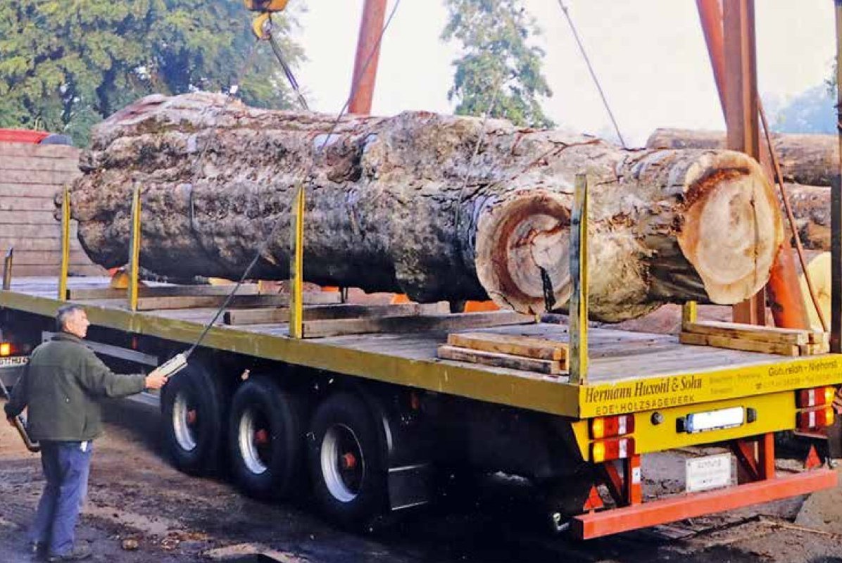 Starker Holzstamm auf einem LKW