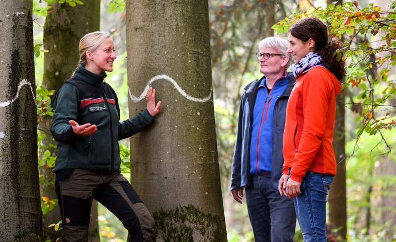 Försterin in Dienstkleidung berät Waldbesitzerpaar in einem Waldbestand im Herbst. Sie stehen vor einer alten Buche, welcher mit einer weißen Wellenlinie als Biotopbaum gekennzeichnet ist.