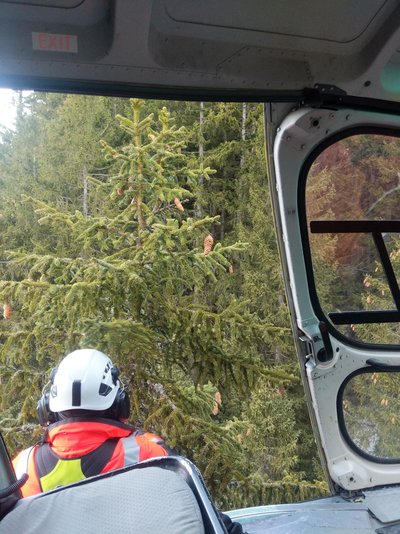 Mann hängt aus einem Hubschrauber und schneidet Zweige