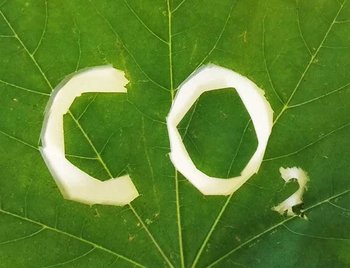CO2-Blatt