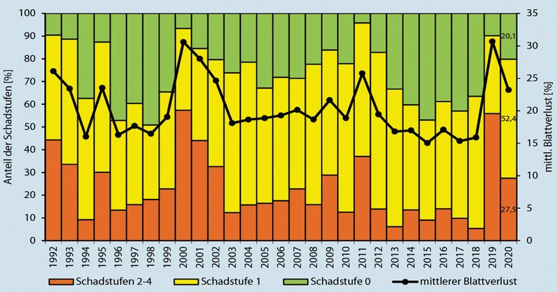 Ein Balkendiagramm, welches im Zeitraum 1991-2020 den Anteil der Schadstufen mit dem mittleren Blattverlust ins Verhältnis setzt (schwarze Kurve).)