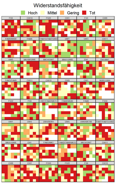 Grafik