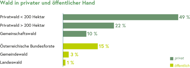 Grafik, welche den Anteil von privatem und öffentlichem Waldbesitz in Österreich anzeigt
