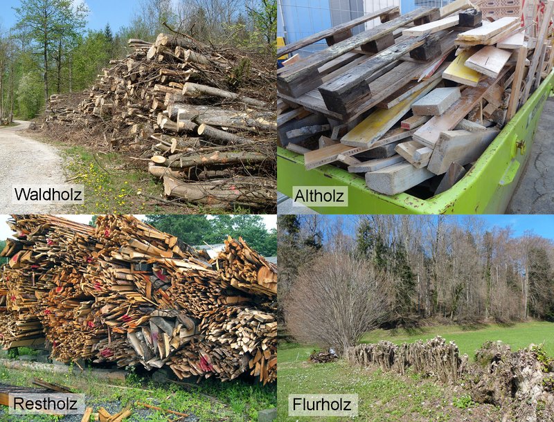 verholzte Biomasse
