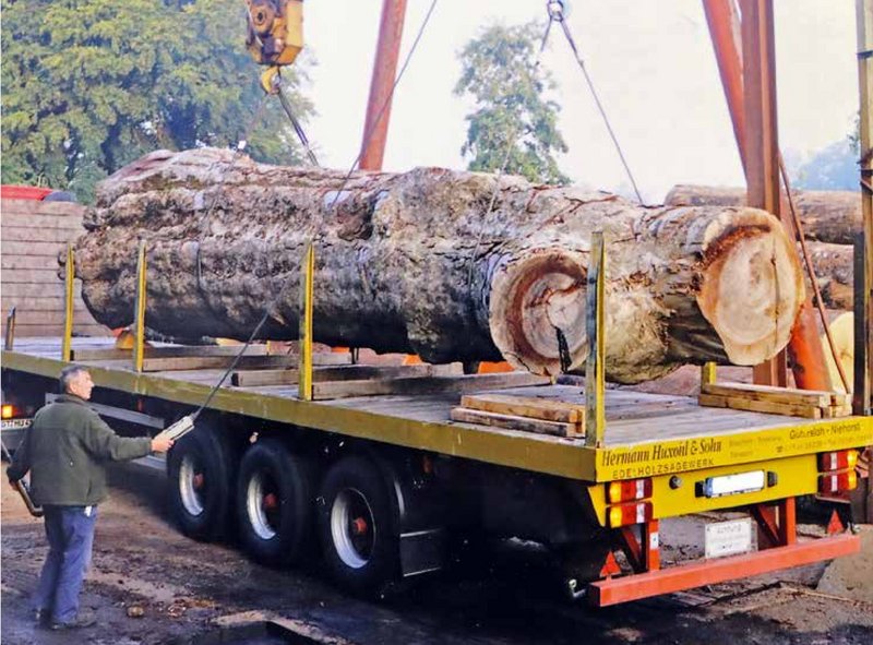 Holzstamm auf einem LWF