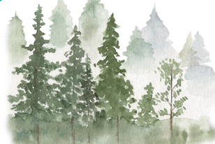 Logo Wald