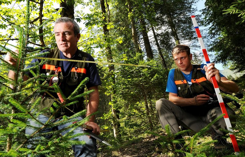 Feldaufnahme beim Landesforstinventar