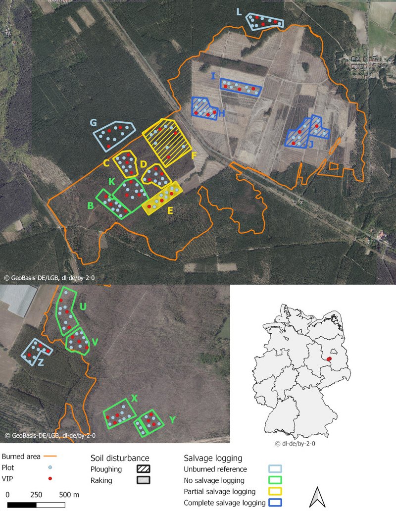 Lage der Untersuchungsflächen des PYROPHOB-Projekts 