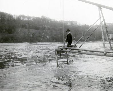 Fischerei am Rhein bei Neuhausen