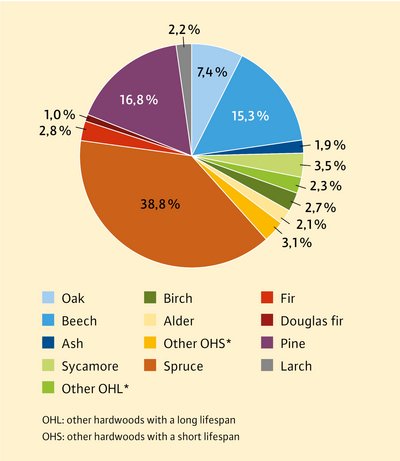 pie chart