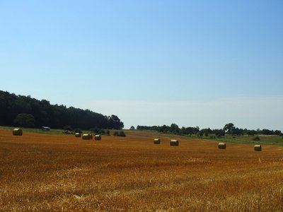 Agrarlandschaft