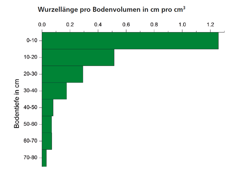 Durchschnittliche Wurzellänge pro Bodenvolumen über die Bodentiefe