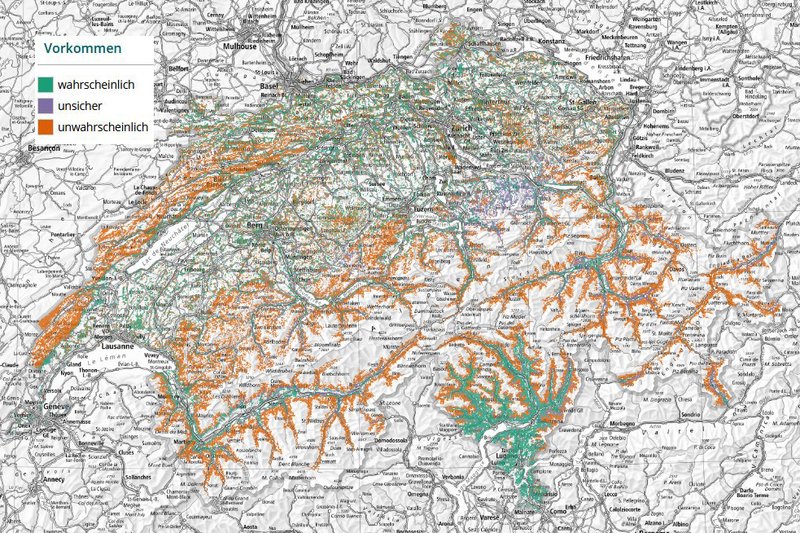 Empirical mapping of Swiss forest ant species
