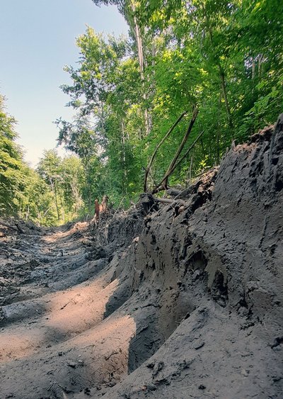 Unerwünschte Begleiterscheinung der Holzernte: Fahrspuren im Wald. In diesem Fall von der Vergleichsmaschine Komatsu 845.