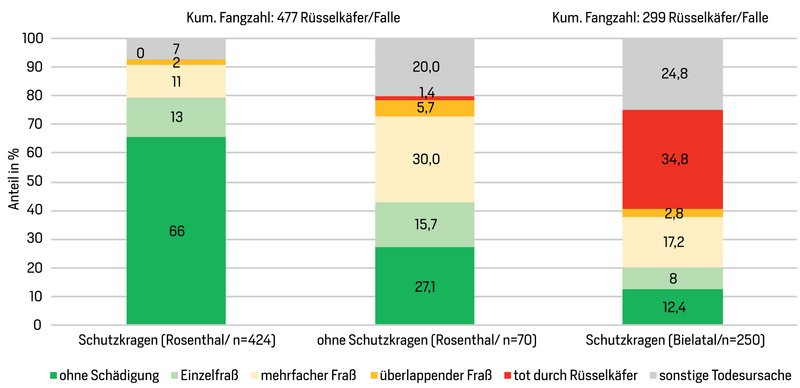 Grafik