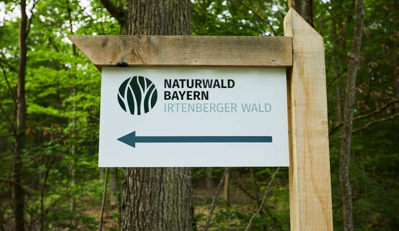 Wegweiser im Wald mit der Aufschrift „Naturwald Bayern – Irtenberger Wald“ und einem nach links zeigenden Pfeil.