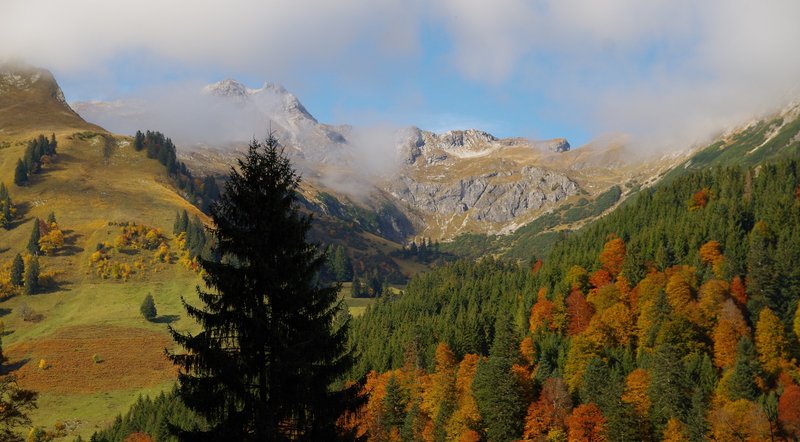 an autumnal mountain scenery in the Allgäu high alps. On the right a colorful mixed mountain forest, on the left open alpine pastures, in the background cloud-covered peaks