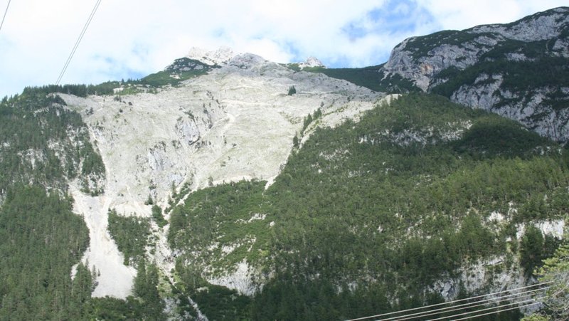 Felsfläche mit Objektschutzwald