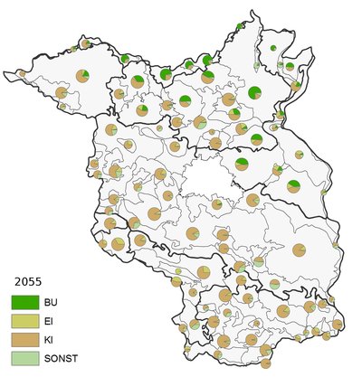 Anteile der Bestandeszieltypen nach Hauptbaumarten in den forstlichen Wuchsbezirken für Dekade 2055