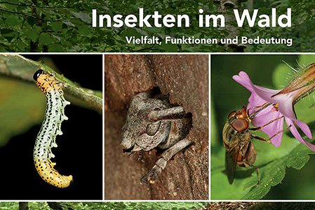 Buchcover Insekten im Wald