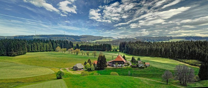 Landwirtschaft und Wald sind im Kleinprivatwald häufig eng miteinander verbunden. Solche klassischen Bauernwälder prägen vielerorts die Landschaft Baden-Württembergs. 