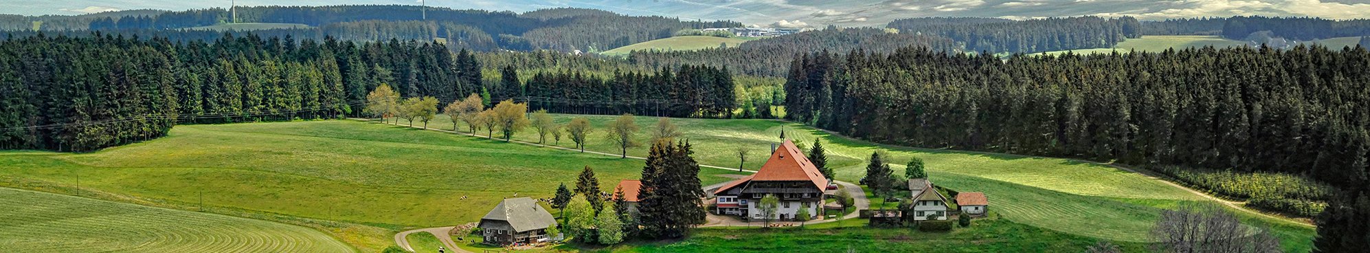 Landwirtschaft und Wald sind im Kleinprivatwald häufig eng miteinander verbunden. Solche klassischen Bauernwälder prägen vielerorts die Landschaft Baden-Württembergs.