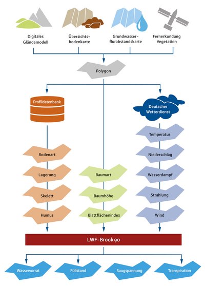 Grafik zur : Technische Vorgehensweise des WaldDürreMonitorings