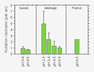 Rotation des racines fines