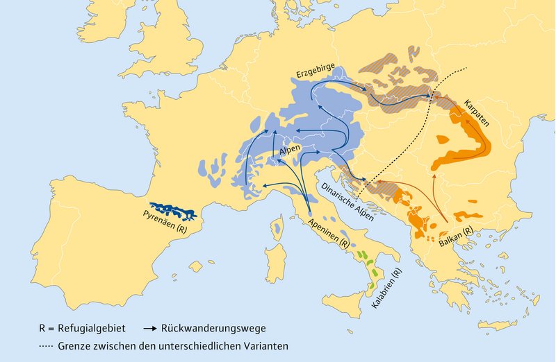 Europakarte mit Verbreitungstendenzen 