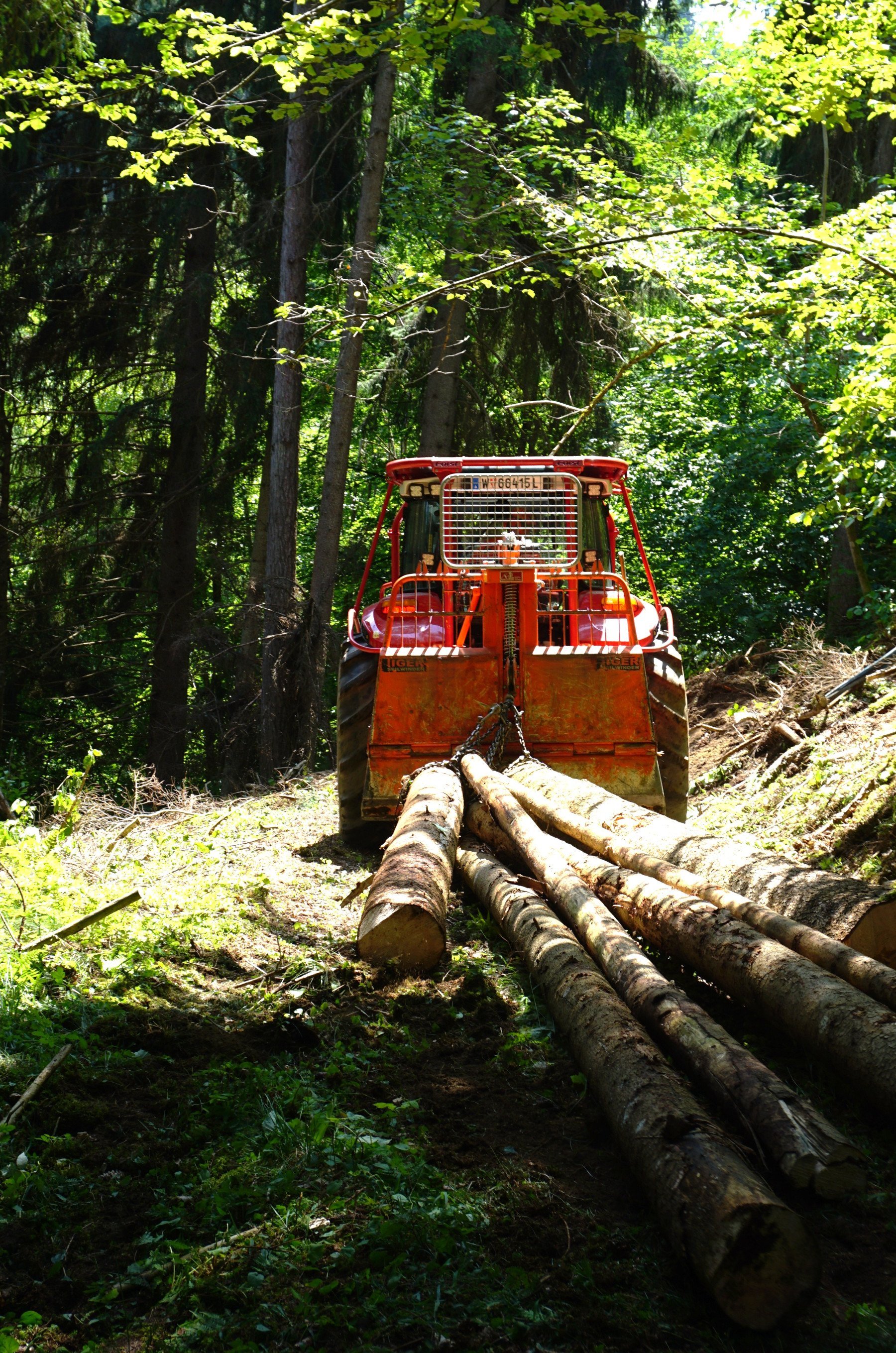 Moderne Seilwinden: Effizienter und sicherer Holztransport im Kleinwald 1 Moderne Seilwinden: Effizienter und sicherer Holztransport im Kleinwald