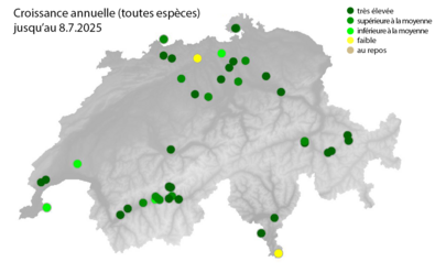 Graphique Croissance annuelle