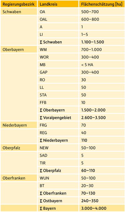 Tabelle