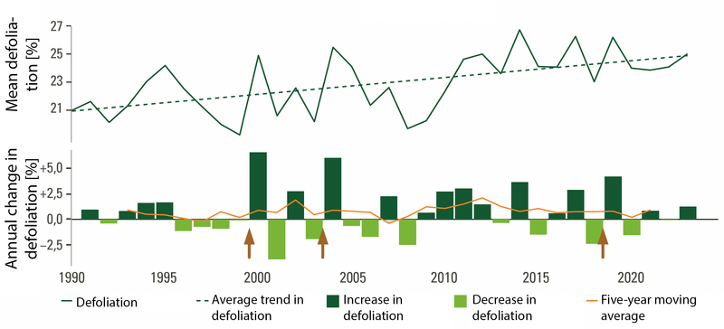 Graph showing crown defoliation since 1990