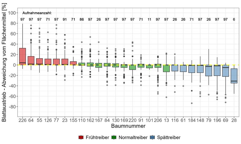 Grafik