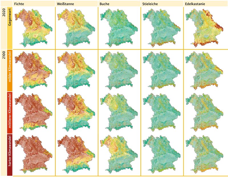 Zahlreiche Bayernkarten bzw. Baumarteneignungen im Vergleich