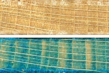 Jahrringuntersuchungen am Bergahorn in den Alpen