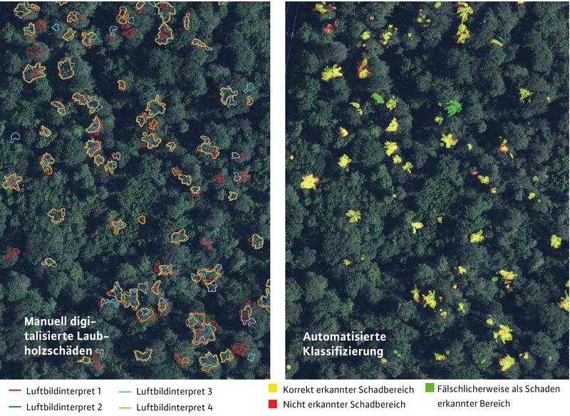 zwei Luftbilder von Waldgebieten