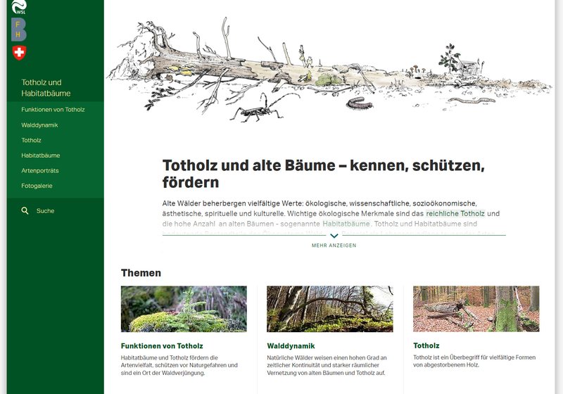 Startseite von totholz.ch