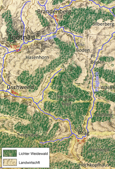 Todtnau und seine Wälder um 1790: ausgeprägte Waldarmut bei Todtnau/Brandenberg, stärkerer Weidewald bei Gschwend und Präg.