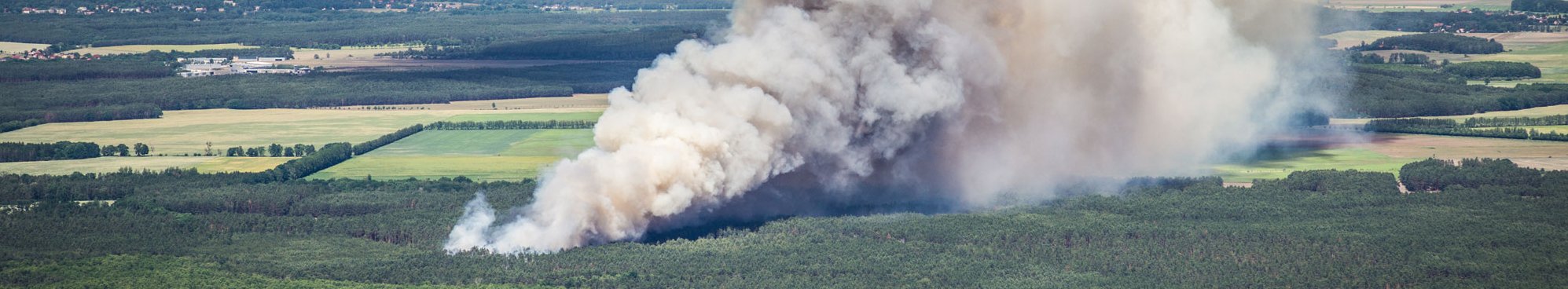 Waldbrand verstehen, vorbeugen und bekämpfen
