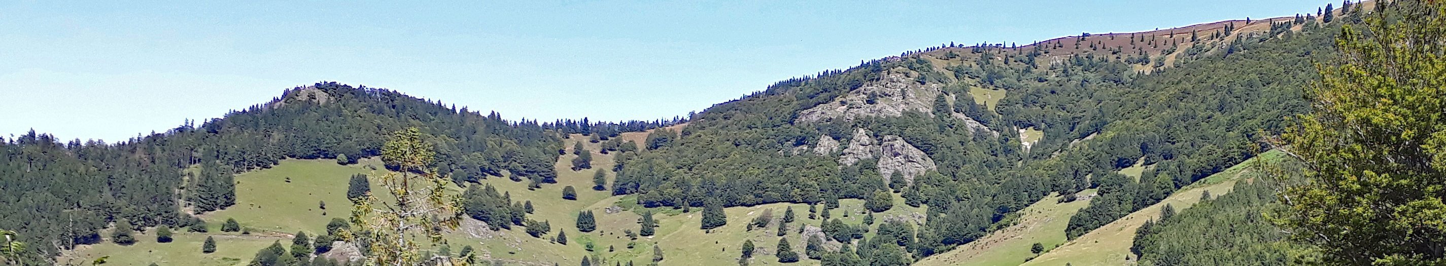 Blick vom Belchen, der vierthöchsten Erhebung des Schwarzwaldes, auf die Kulturlandschaft mit Hochwaldflächen.